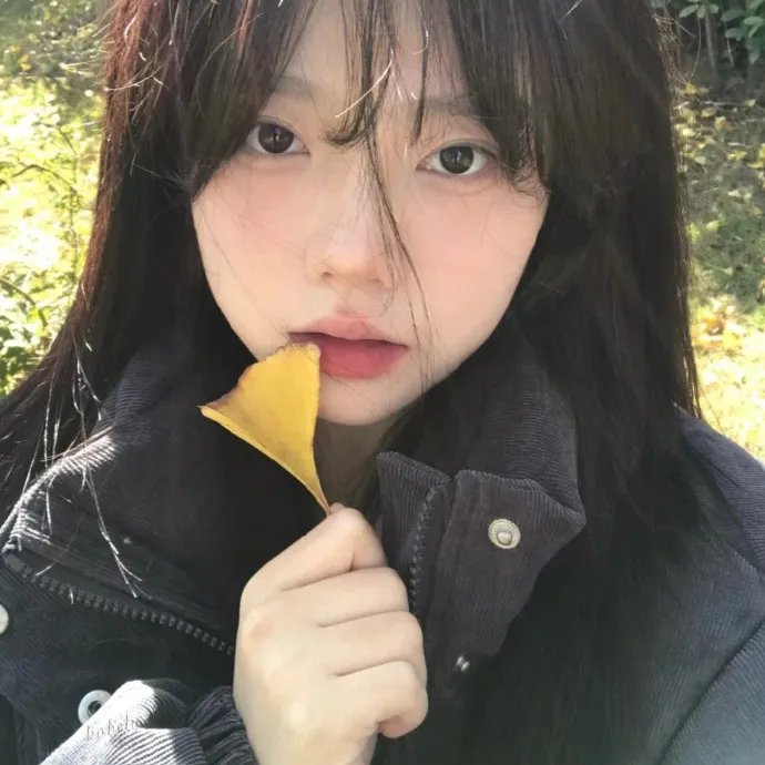 灵雾岛