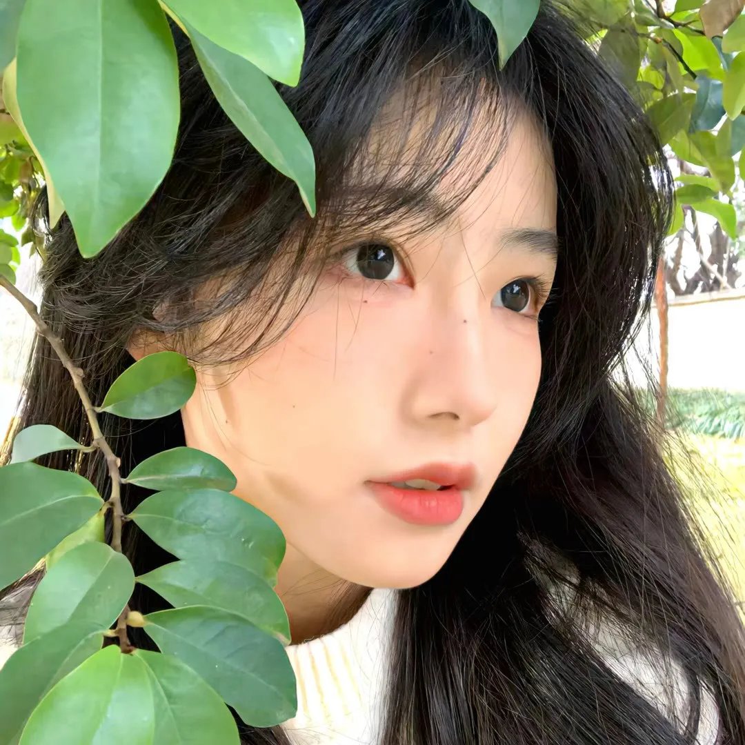 腹黑妹妹控兄记